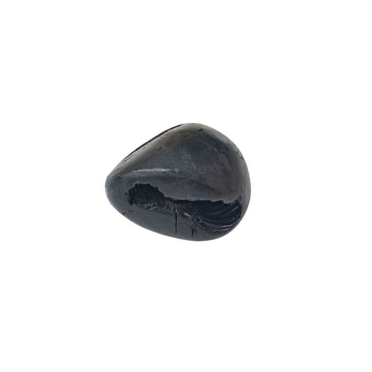 Keshav Shaligram