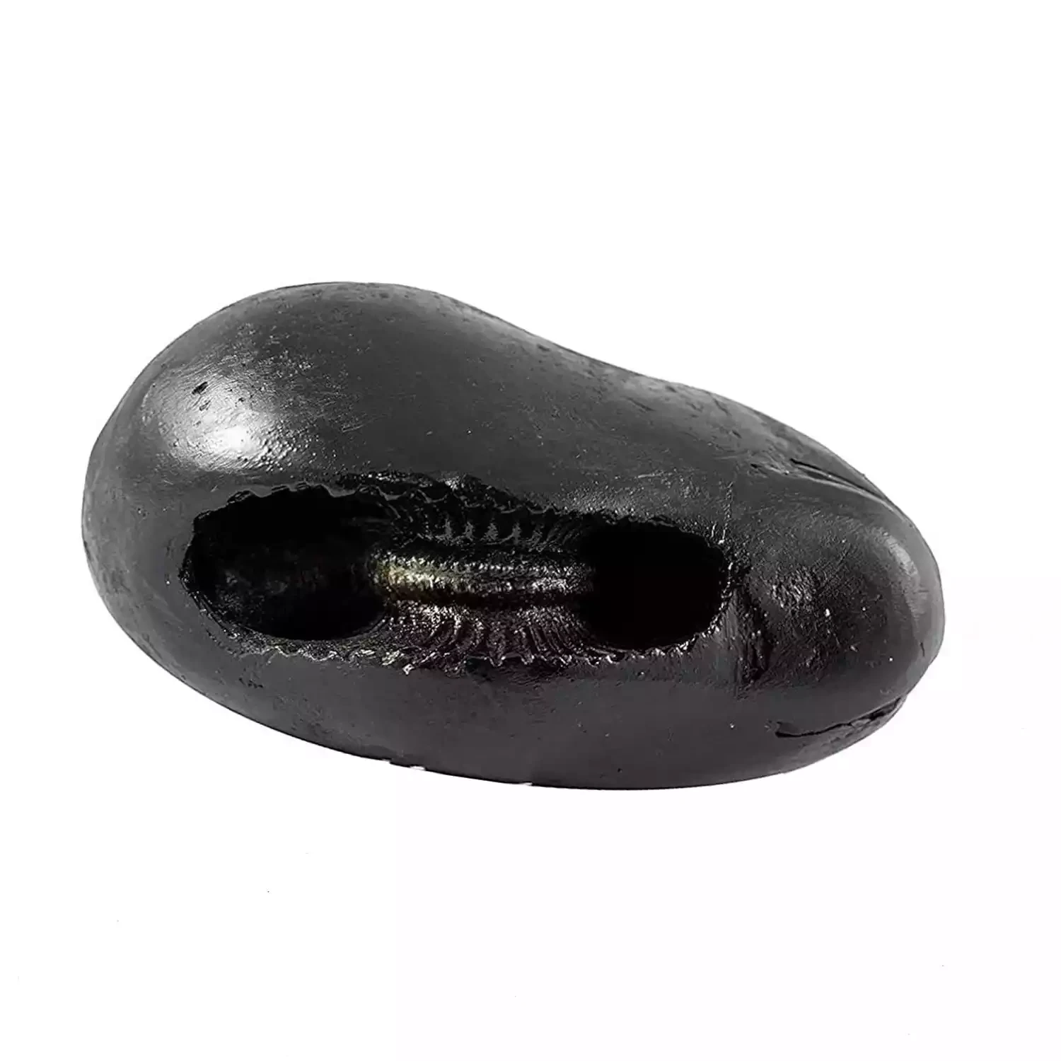 Lakshmi Narayan Shaligram