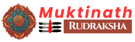 Muktinath Rudraksha