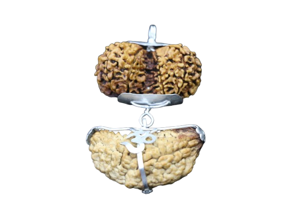 One Mukhi + Gaurishankar