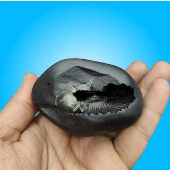 Shaligram